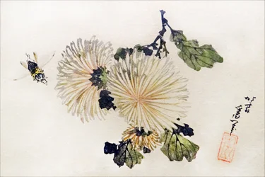 Chrysanten Oeuvre